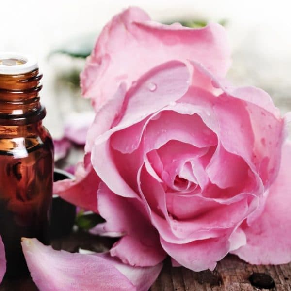 NOS PARFUMS NATURE