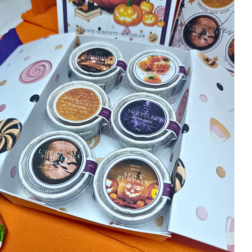 Gros plan sur le coffret de 6 fondants parfumés Halloween avec les parfums Potion, Épicée, Nuitée, Délice de Chaudron, Danse Macabre et Rêve Mystique, sur fond de citrouilles.