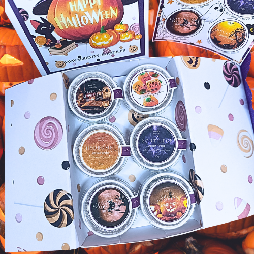 Gros plan sur le coffret de 6 fondants parfumés Halloween avec les parfums Potion, Épicée, Nuitée, Délice de Chaudron, Danse Macabre et Rêve Mystique, sur fond de citrouilles.