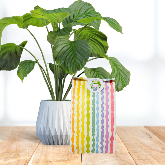 Pochette Surprise 10 Fondants parfumés