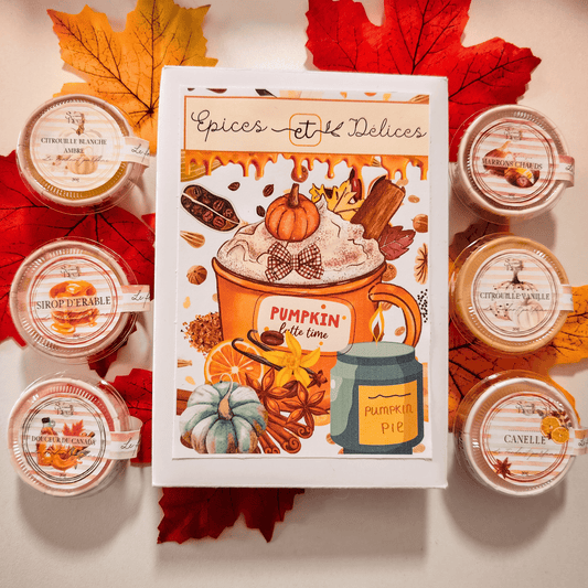 Coffret Fondants Cire Parfumée Épices & Délices 6 galets gourmands illustration automne citrouille cannelle.
