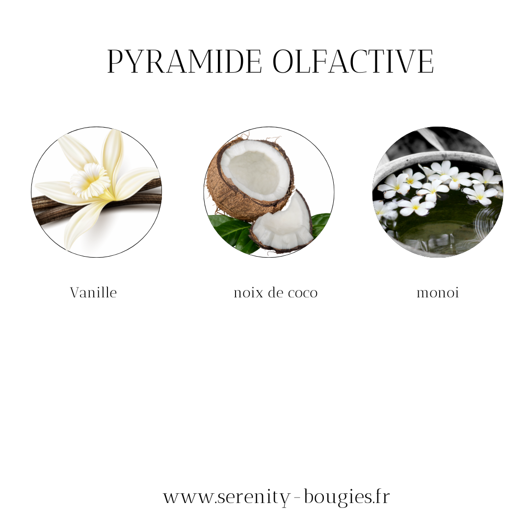 Bougie parfumée BORA BORA