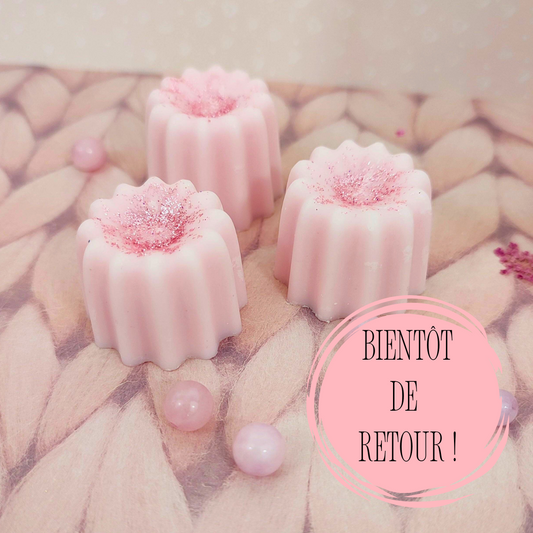 Fondant perfumado MUSTY BÉBÉ - Guijarro de cera artesanal 100% cera de soja - Serenity Bougies