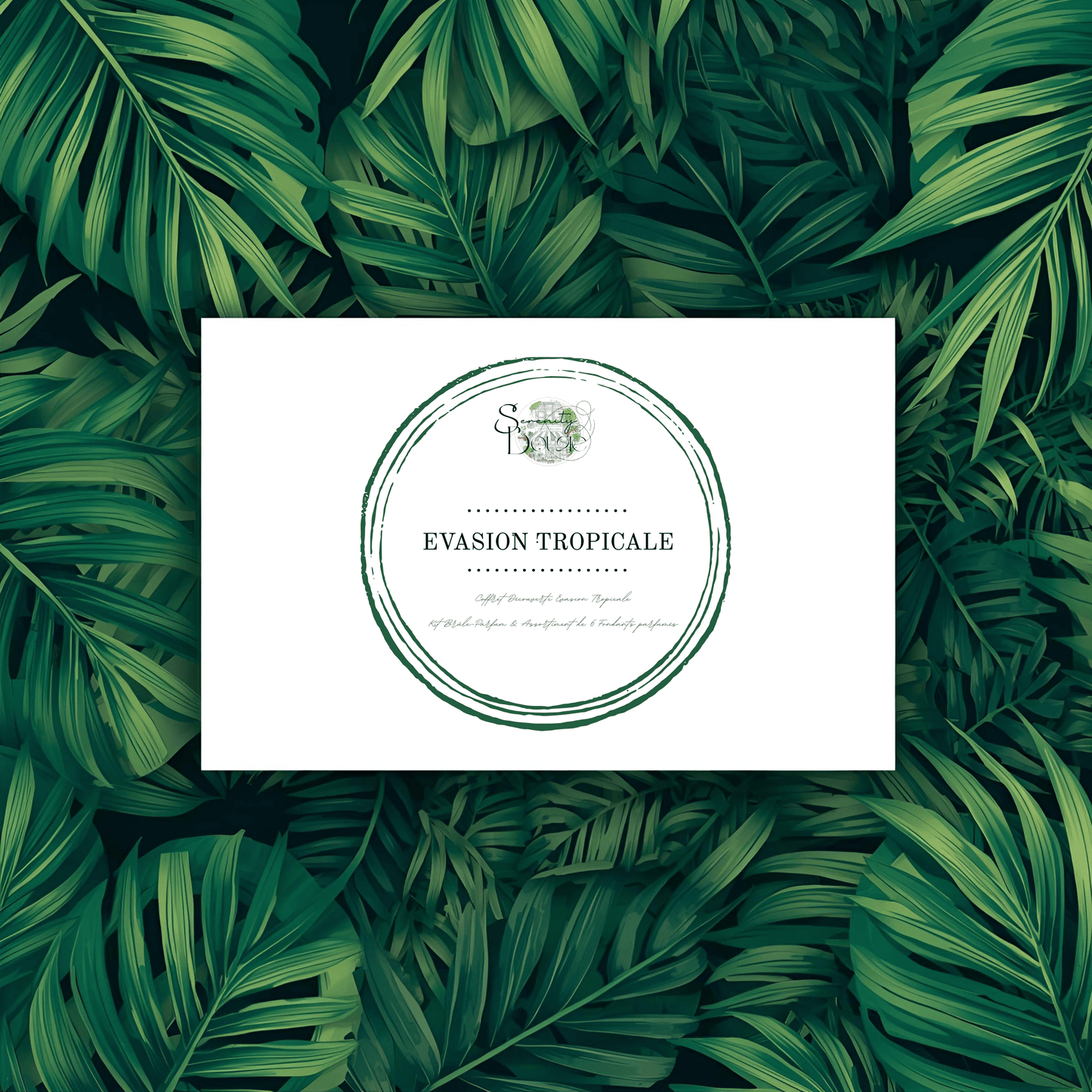 Coffret cadeau Fondants Parfumés fermé "Évasion Tropicale" sur fond de feuilles tropicales. Boîte blanche avec logo vert "Évasion Tropicale". Kit découverte parfums fruités.