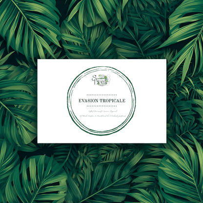 Coffret cadeau Fondants Parfumés fermé "Évasion Tropicale" sur fond de feuilles tropicales. Boîte blanche avec logo vert "Évasion Tropicale". Kit découverte parfums fruités.