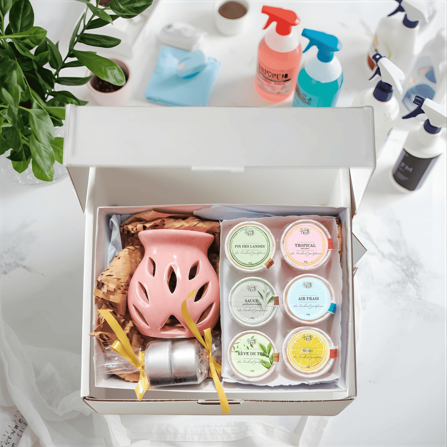 Coffret Fondants "Fraîcheur d'Intérieur" ouvert, contenant un brûle-parfum rose, deux bougies, et 6 fondants aux senteurs purifiantes : Yuzu, Pin des Landes, Sauge, Air Frais, Tropical, Rêve de Thé. Cire végétale artisanale.